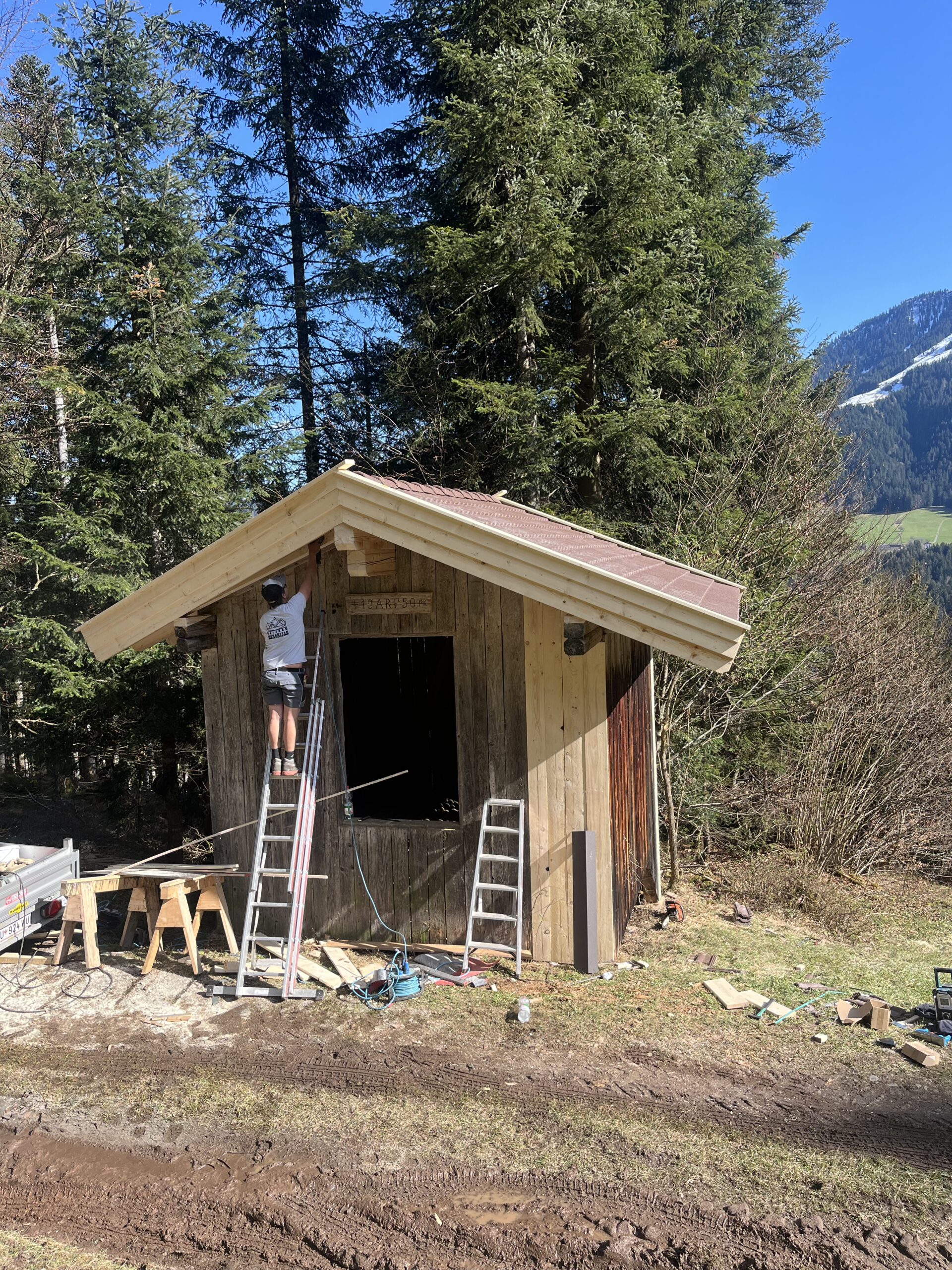 Sanierungen